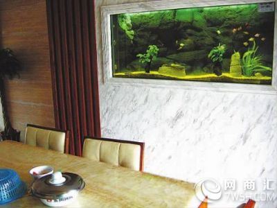 杭州萧山区清洗鱼缸团队，还您干净鱼缸