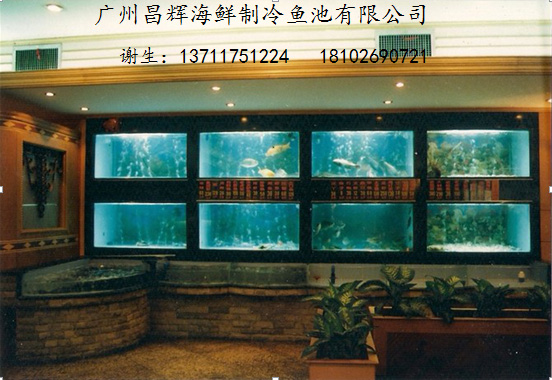 广州白云哪里定做海鲜池广州海鲜池公司专业制作