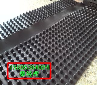 供应20排水板厂家价格-车库塑料凹凸型排水板价格