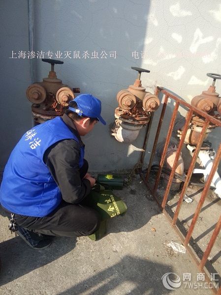 上海专业杀虫除虫灭蟑螂除四害消杀公司