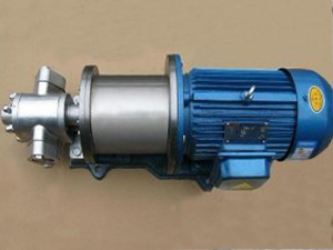 FXB外润滑不锈钢齿轮泵图片与价格