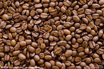墨西哥进口咖啡豆报关公司