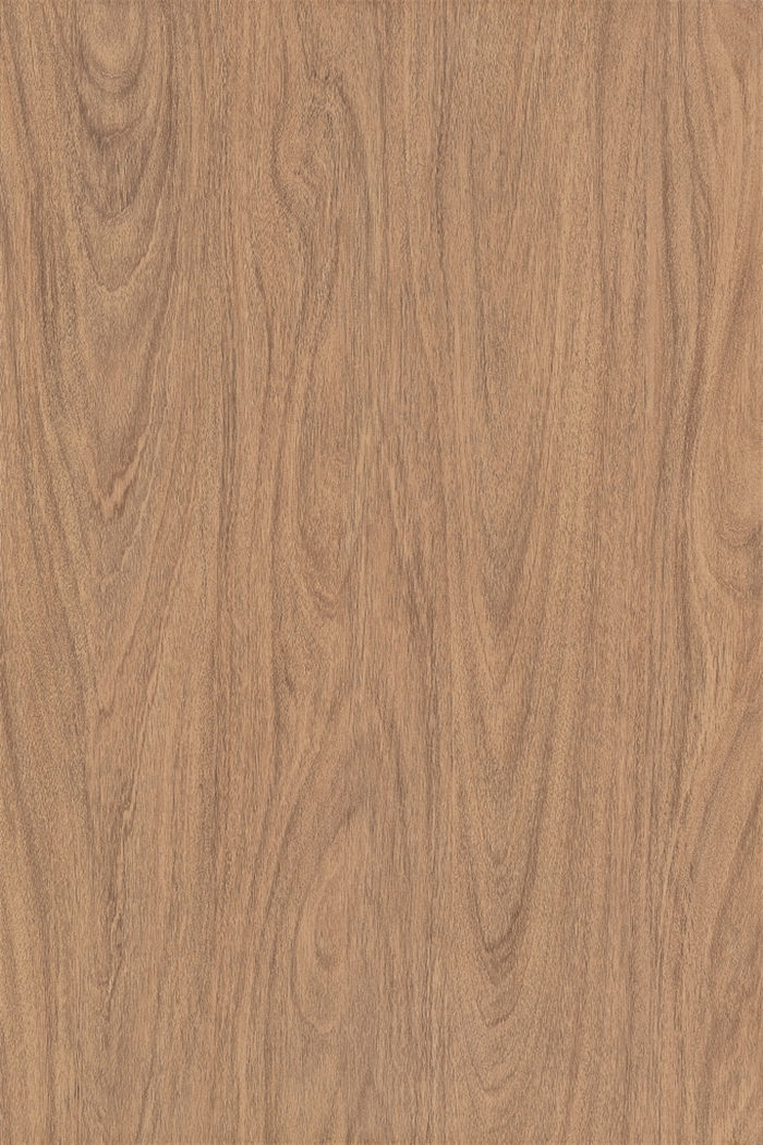 QD木纹砖-FMW6005PCQ （光面）600X900mm