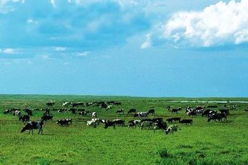 2018中国国际（贵阳）生态高效畜牧业交易会