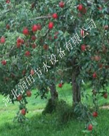 河北晋州市果树滴灌品种齐全，质量保证