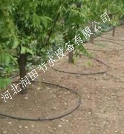 河北晋州市梨树滴灌价格 优质小管出流系统批发