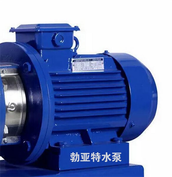 山东省潍坊市轻型304不锈钢WS型循环水泵价格优惠服务保证