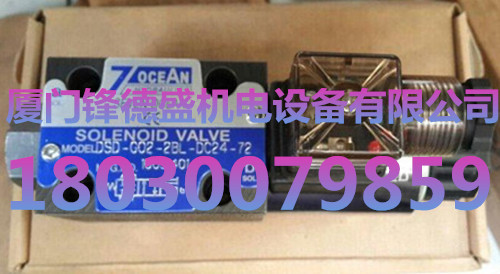 七洋DG07-22A-A220-DN-70销售DG08-6A-DC24-DN-70单向节流阀