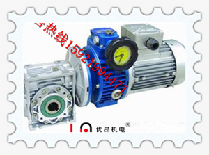 上海松江供应优质UDL005-RV050-0.37KW涡轮无极调速电机