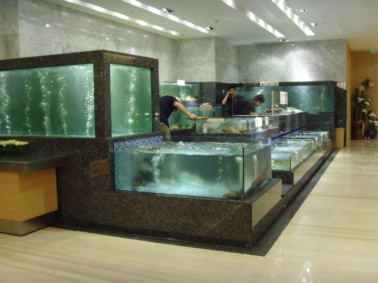 广州海鲜池定做,广州海鲜池定制,广州海鲜池制作,广州酒店鱼缸制冷,广州海鲜池制冷