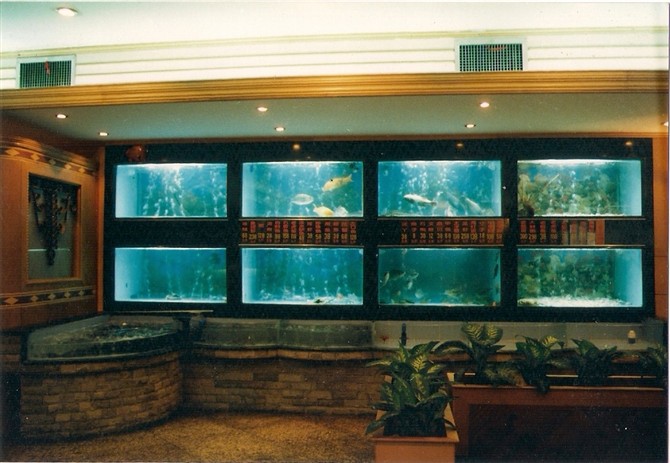 广州酒店海鲜海鲜鱼池品牌, 广州酒店海鲜海鲜鱼池价格