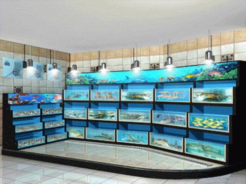 广州水族箱定制，广州专业生产水族箱，广州订做龙海鲜鱼池
