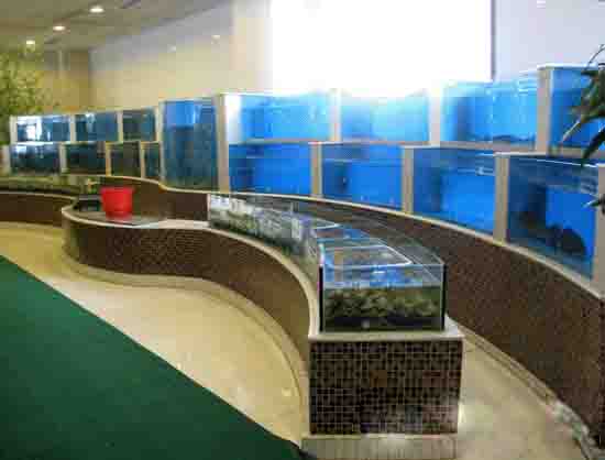 广州海鲜池造景设计，广州海鲜池造型，广州订做大型观赏鱼池