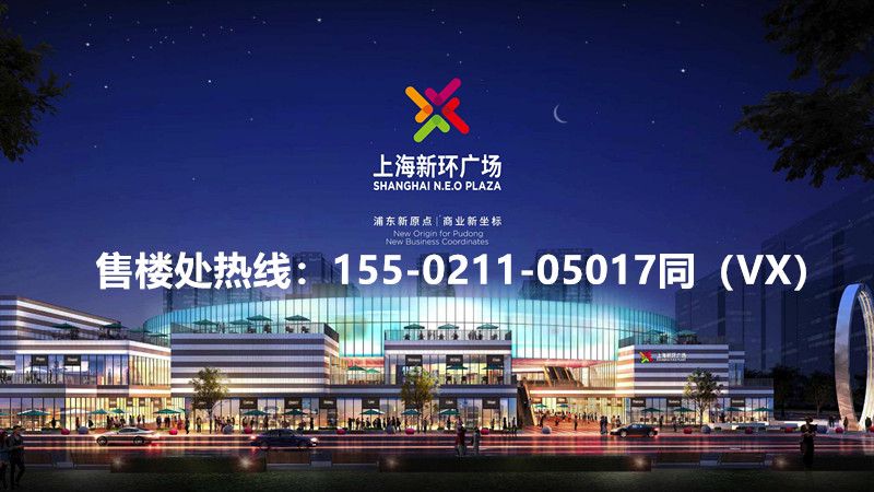 上海浦东新环广场2020年度火爆综合体