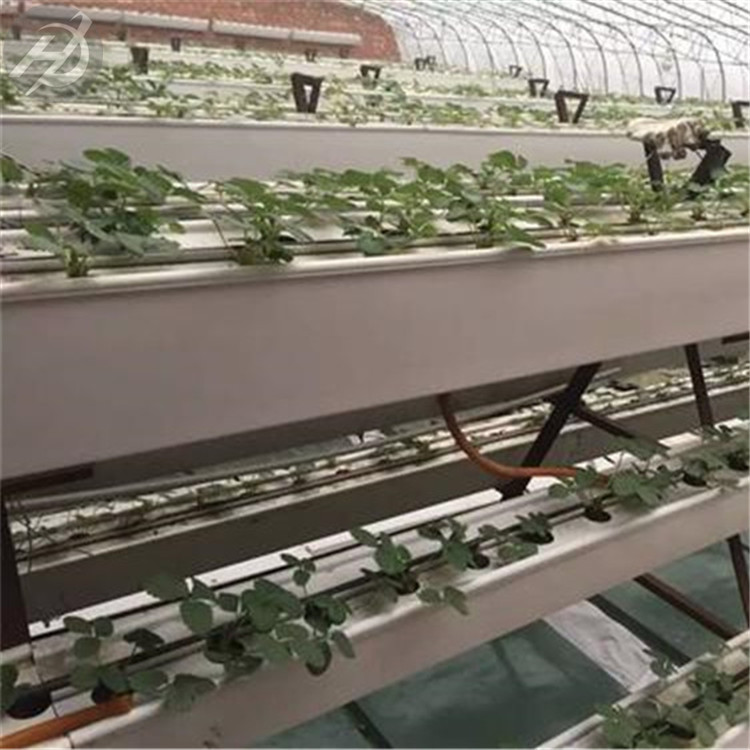 新型草莓种植模式-草莓立体种植槽-增产增效