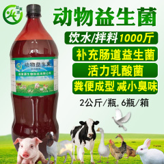 动物益生菌鸡鸭鹅猪牛羊兔营养液常识