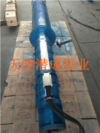 天津250QJR50-60-15KW热水深井泵厂家-耐高温热水泵价格