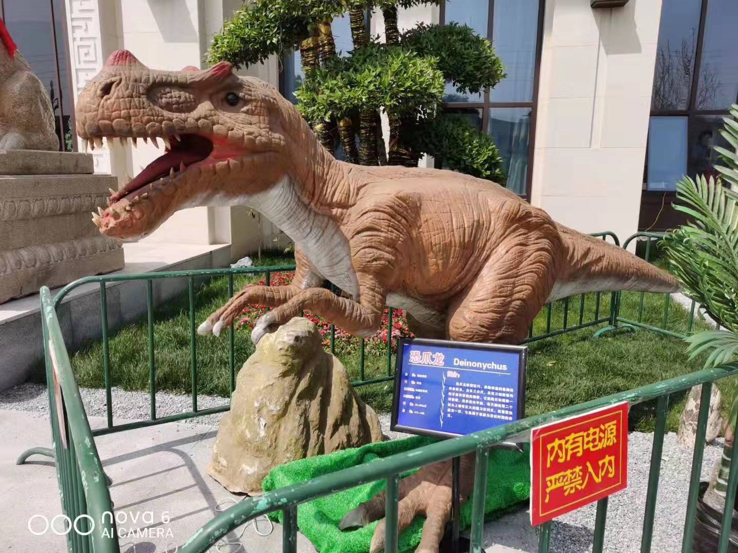葫芦岛恐龙展-恐龙模型-恐龙出租租赁